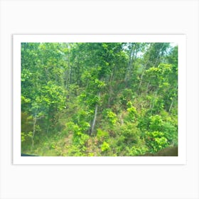 Forests 7 By Binod Dawadi Art Print