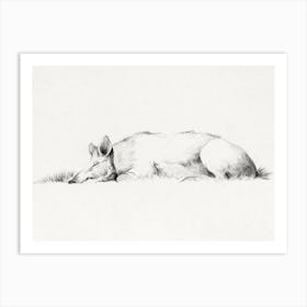 Lying Pig (1775–1833), Jean Bernard Art Print