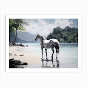 A Horse Oil Painting In El Nido Beaches, Philippines, Landscape 2 Art Print