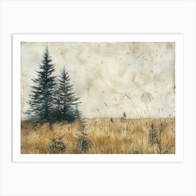 Field Of Pines Canvas Print Art Print