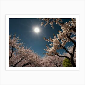 Cherry Blossoms 4 Art Print