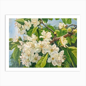 Blossoming Cherry Tree 4 Art Print