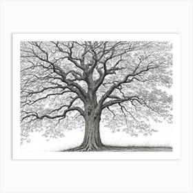 maple tree pencil sketch ultra detailed 6 Art Print