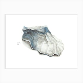 Oyster Shell in blue Art Print