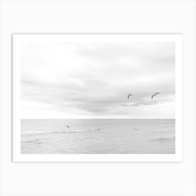 Black And White Seagulls  Art Print