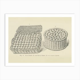 Vintage Illustration Of Basket Of Apple, John Wright Art Print