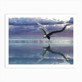 Eagle In Flight Art Print