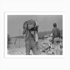 Untitled Photo, Possibly Related To Stevedore With Sack Of Oysters On Back, Olga, Louisiana By Russell Lee Art Print