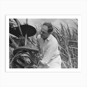 Mr Wurtele, Inventor Of Sugarcane Harvester, Attempting To Repair The Machine, Mix, Louisiana By Russell Lee Art Print