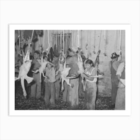 Picking Turkeys At Cooperative Poultry House, Brownwood, Texas By Russell Lee 1 Art Print