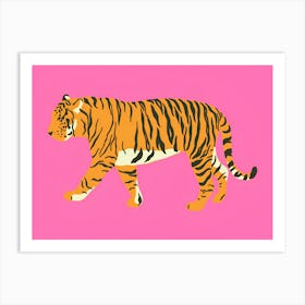 Tiger On Pink Background 1 Art Print