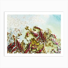 Tidal Treasures Art Print