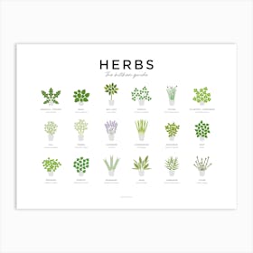 Herbs Guide Landscape Minimal Art Print