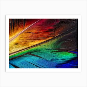 Close Up Of A Multicolored Feather Displaying An Intricate Gradient Shifting Through Vibrant Hues I Art Print