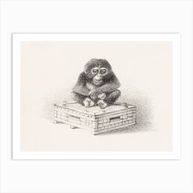Seated Monkey On Box (1878–1890) By Theo Van Hoytema Art Print
