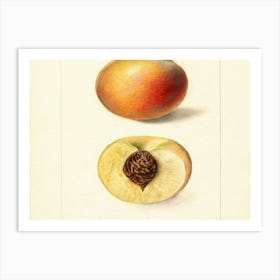 Peaches Art Print