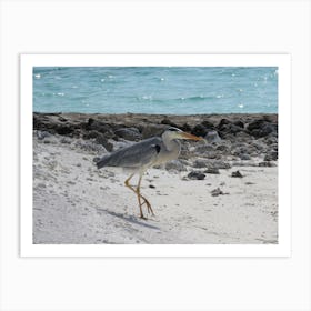 Heron On The Beach 4 Art Print