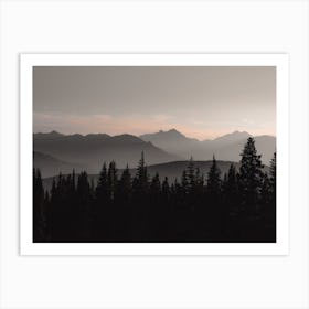 Moody Forest Sunset Art Print