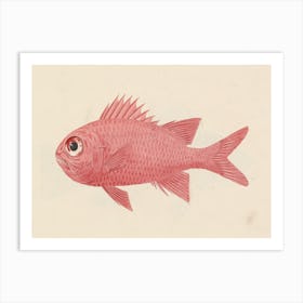 Unidentified Fish, Luigi Balugani (17) Art Print