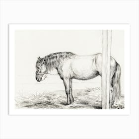 Standing Horse (1817), Jean Bernard Art Print