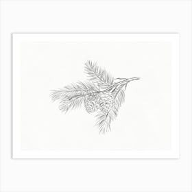 Pine Branch Pencil Drawing Art Print