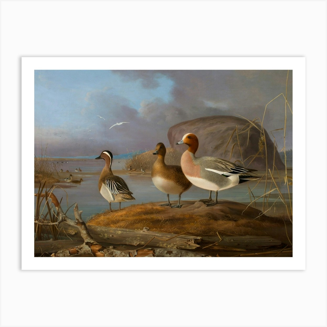 Three Geese Art Print by Print Rocker