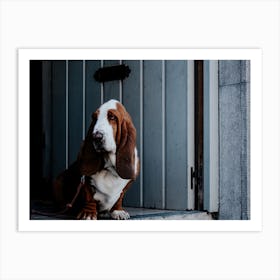 The Basset Hound Doorway Guard Dog Art Print