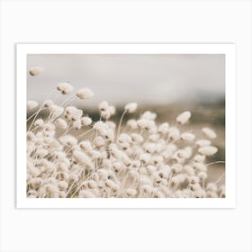 Dried Beach Pampas Art Print