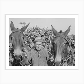 Untitled Photo, Possibly Related To Sugarcane Farmer Near Delcambre, Louisiana By Russell Lee Art Print