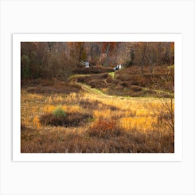 Autumn Scene 4 Art Print