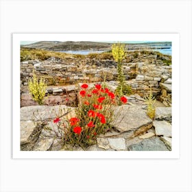 Wild Flowers on Island of Delos Greece (Greece Series) Art Print