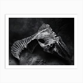 Skeleton Of A Fish Art Print