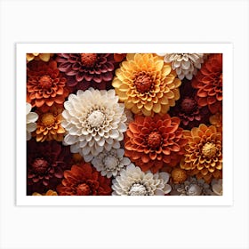 Dahlias 13 Art Print