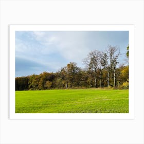 Autumn Trees In A Field Art Print