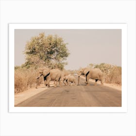 Elephants On The Road In Krugerpark In South Africa Art Print