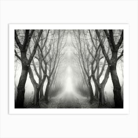 Path Through The Trees 3 Art Print