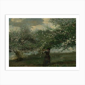 Apple Blossoms In The Orchard Art Print