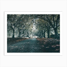 Cobbled Road Lined With Trees Póster