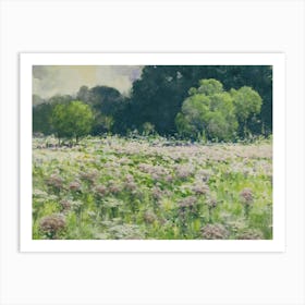 Field Of Wildflowers Art Print