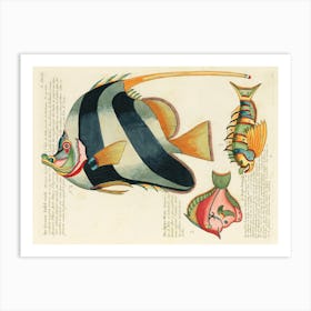 Colourful And Surreal Illustrations Of Fishes Found In Moluccas (Indonesia) And The East Indies, Louis Renard(82) Art Print