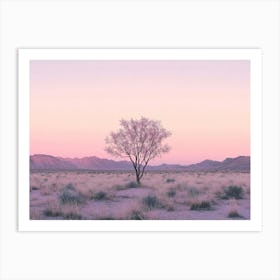 Lone Tree In The Desert Art Print