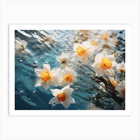 Water Daffodils 1 Art Print