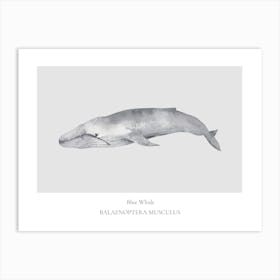 Humpback Whale Art Print