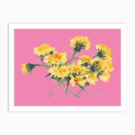 Yellow Dandelions On Pink Art Print