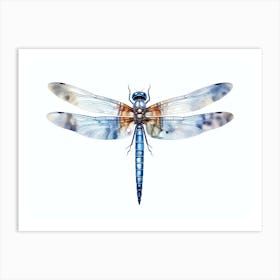 Dragonfly Blue Eyed Darner Aeshna Illustration Minimal 5 Art Print