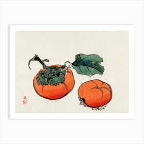 Persimmons 1 Art Print