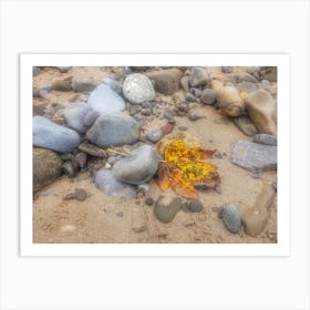 Sand pebbles and autum leaf Art Print