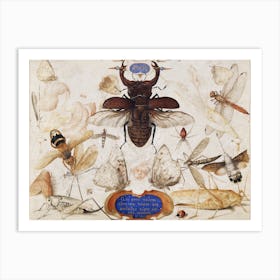 Insects And The Head Of A Wind God, Joris Hoefnagel Art Print