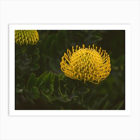 Yellow Botanicals Art Print