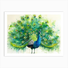 Peacock 23 Art Print